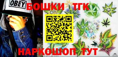 индика Обь