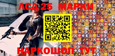 индика Обь