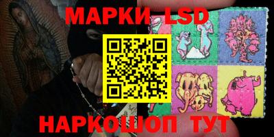 индика Обь