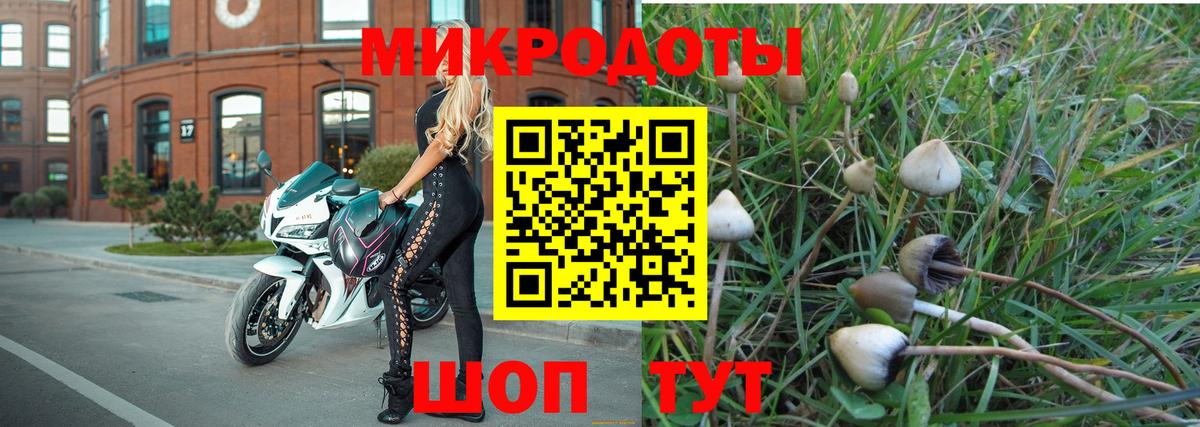 Галлюциногенные грибы GOLDEN TEACHER Советский